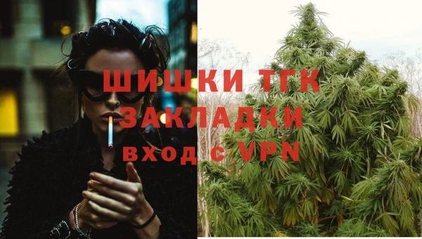 дмт Аркадак