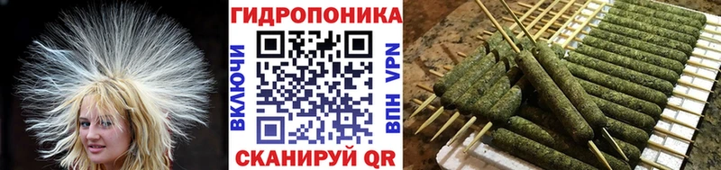 Канабис Bruce Banner  Купить  Демидов 